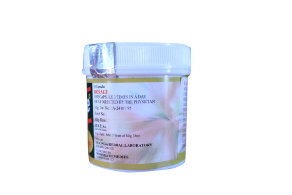 Health Care Capsules - Ayurvedic Herbal Supplement for Body Fitness (60 Capsules Pack) - Image 3