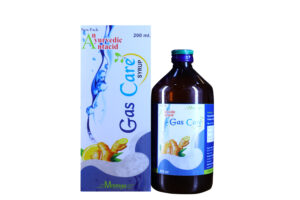 Gas Care Syrup - Ayurvedic Antacid for Gastric Relief & Digestion