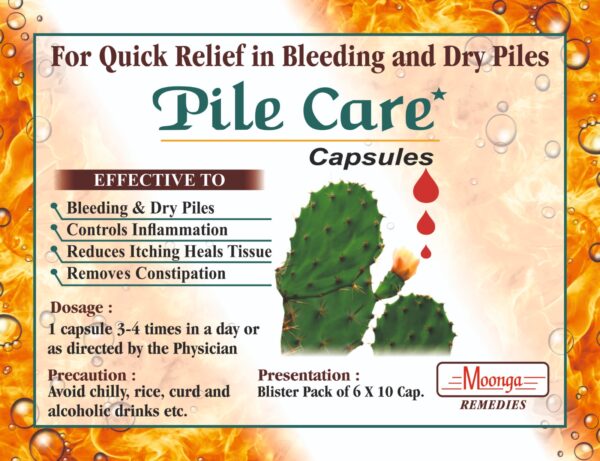 Pile Care Capsules – Ayurvedic Treatment for Dry & Bleeding Piles - Image 5